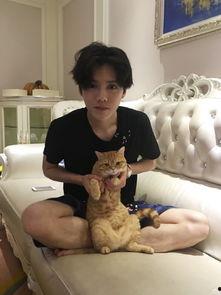 鹿晗网红爆料事件视频,揭秘娱乐圈背后真相  第2张