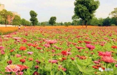 爆料半亩花田视频大全集,揭秘美丽秘诀与护肤心得 第3张 爆料半亩花田视频大全集,揭秘美丽秘诀与护肤心得 第3张